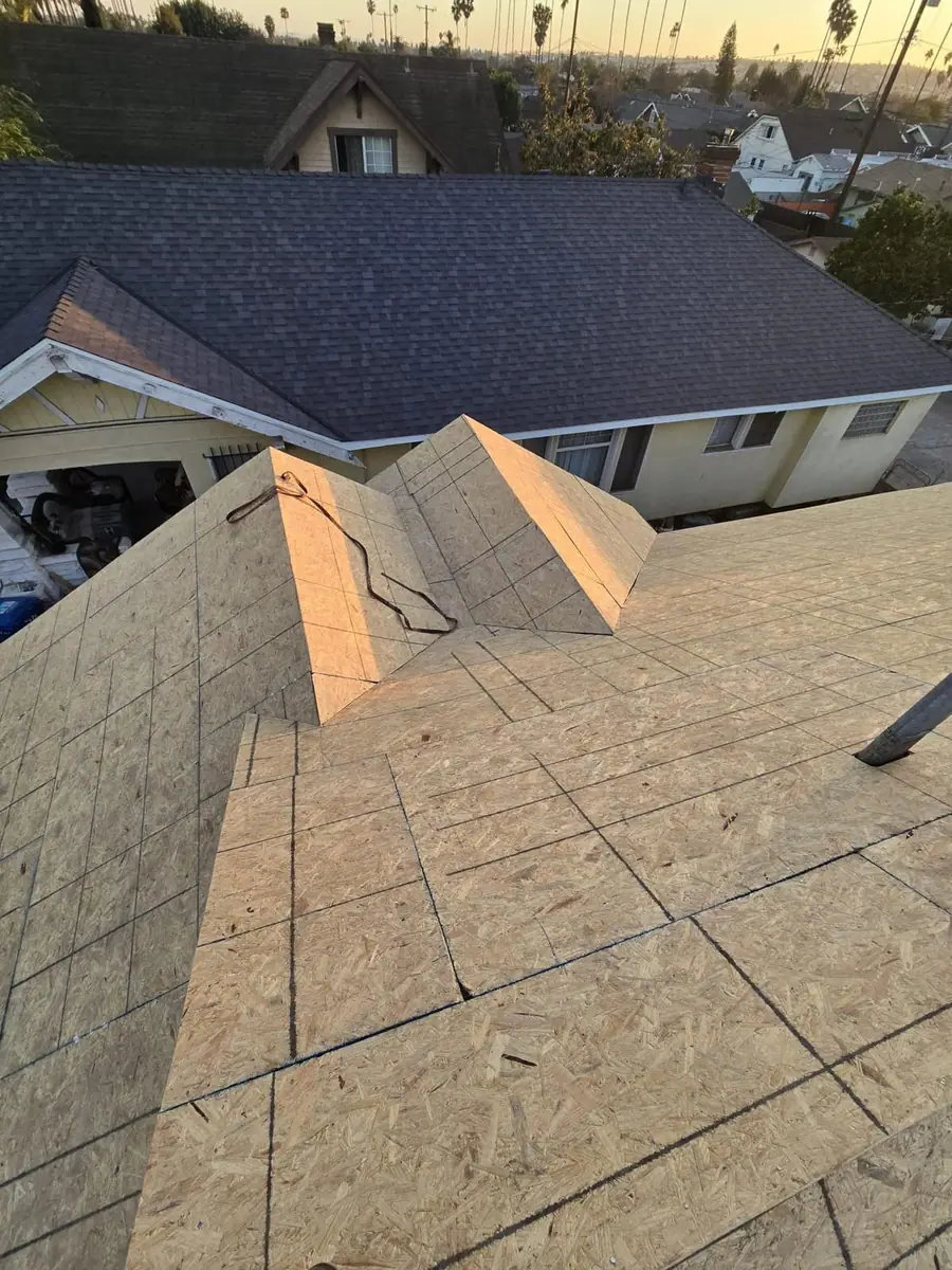 Wood roof decking across connected slopes in warm evening light