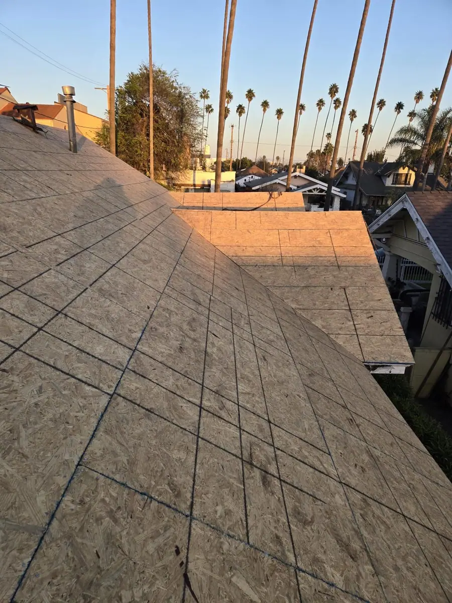 Marked wood roof decking along a sloped roof in warm evening light