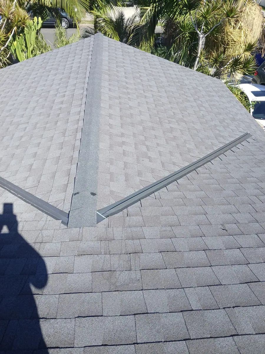 Gray shingle roof with intersecting ridges and palms in the background